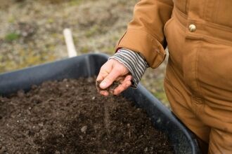 Cannabis Mutterpflanze 2026: Leitfaden fr Anbauer | GrowerIQ