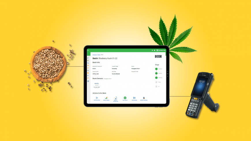 Cannabis Software